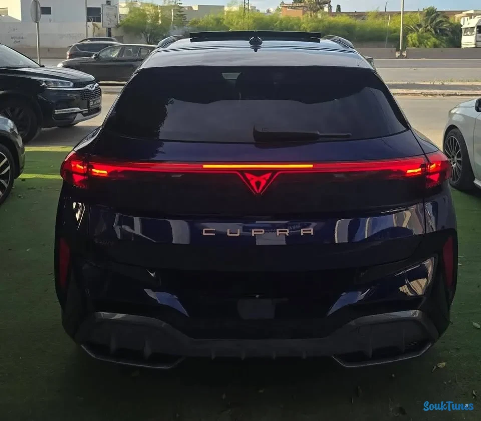 Image 4 de l'annonce CUPRA TERRAMAR X 2026