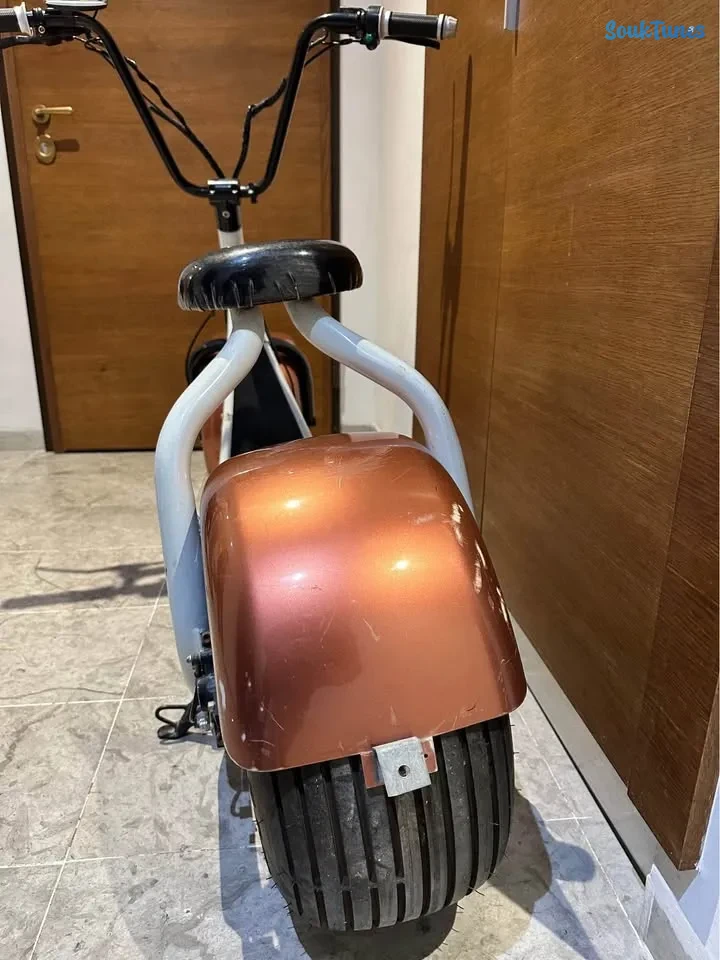 Image 4 de l'annonce Cyticoucou. scooter électrique 2500 DT
