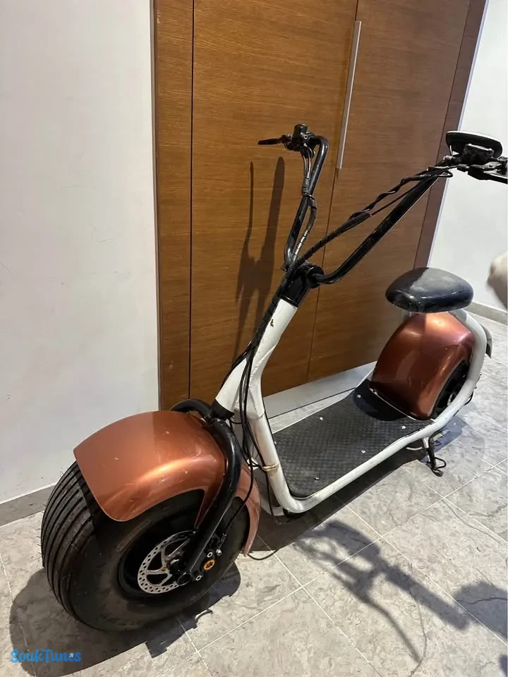 Image 5 de l'annonce Cyticoucou. scooter électrique 2500 DT