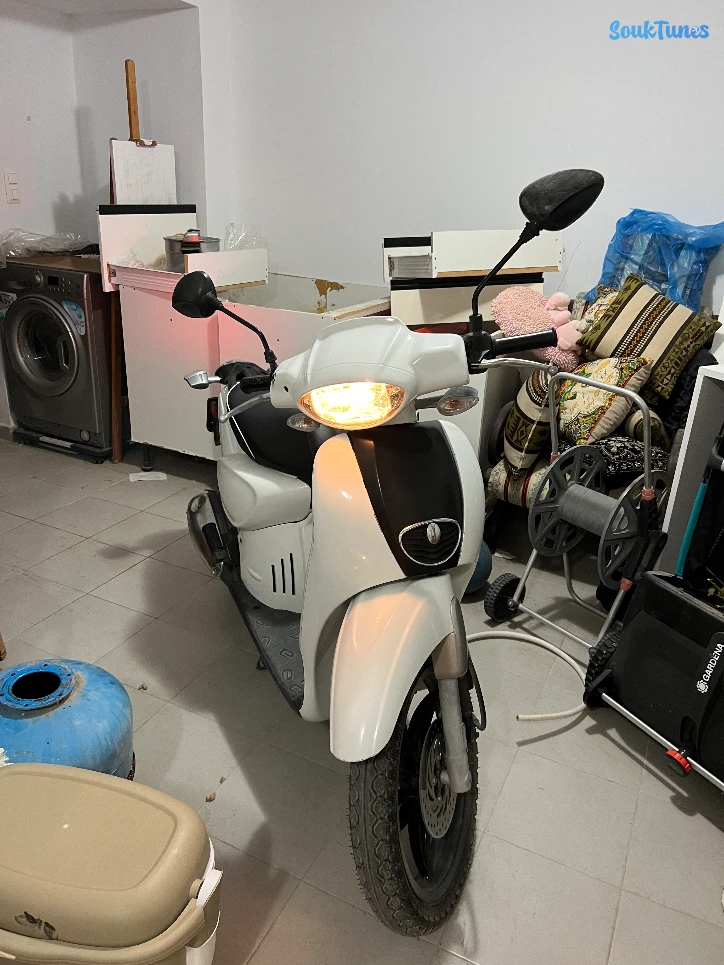 Image 11 de l'annonce Moto