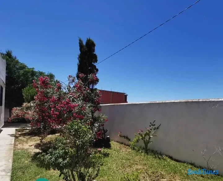 Image 7 de l'annonce Une villa S+4 sur un terrain 1215 m² à Kerkouane
