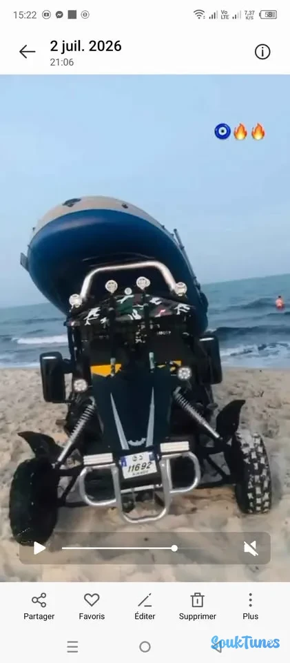 Image 4 de l'annonce Buggy 250
