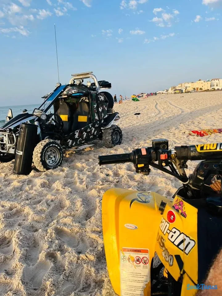 Image 6 de l'annonce Buggy 250