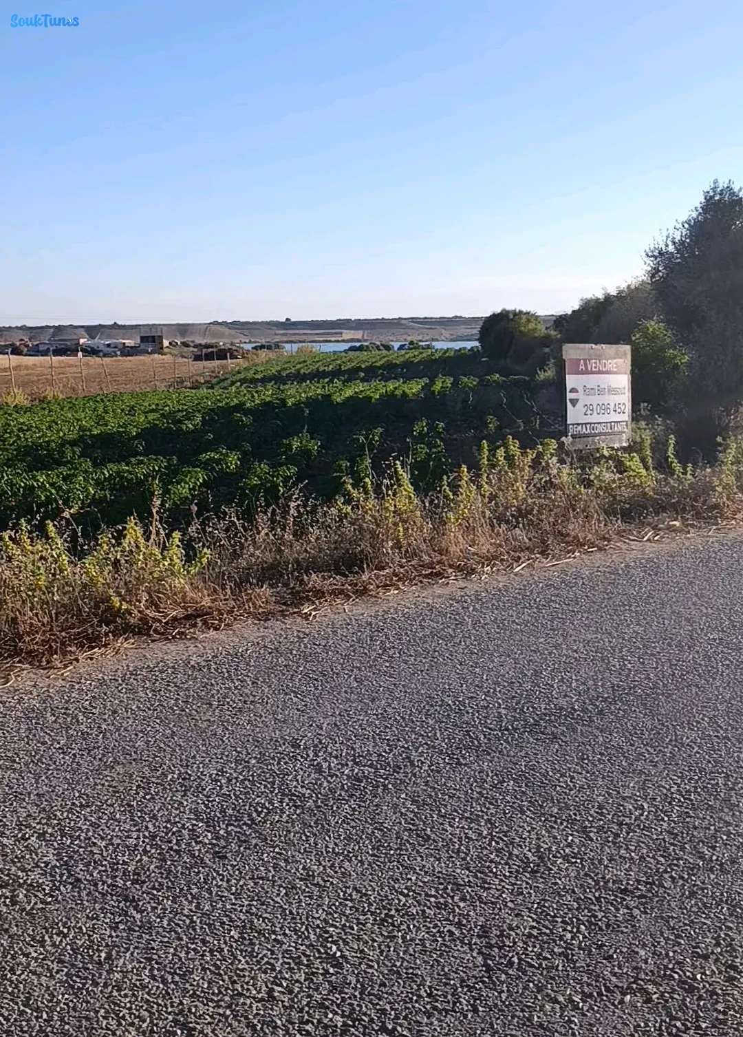 Image 4 de l'annonce Opportunité: Un terrain agricole de 5000m² 