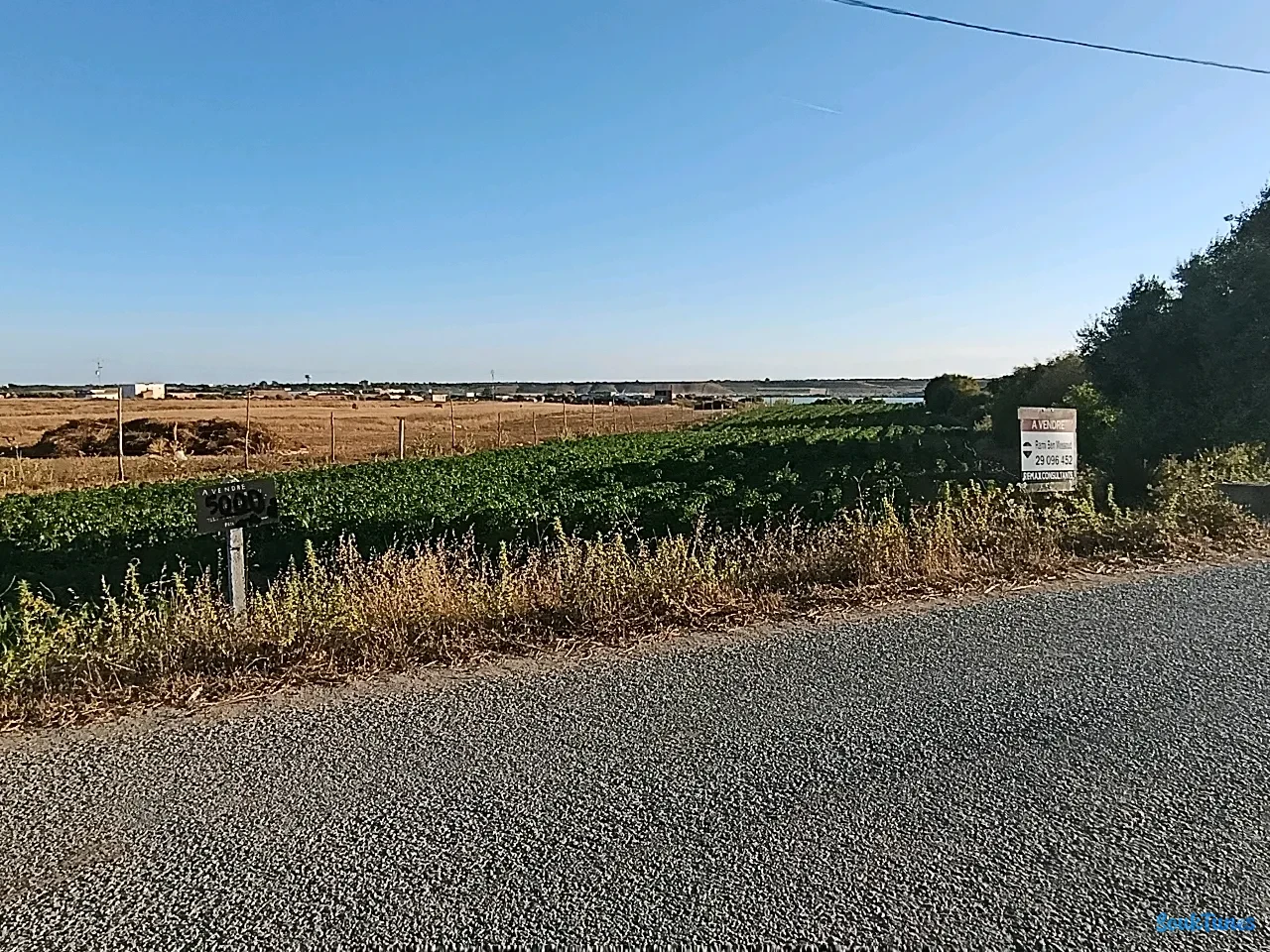 Image 5 de l'annonce Opportunité: Un terrain agricole de 5000m² 