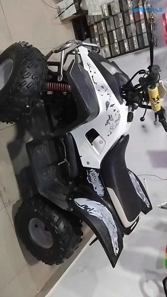 Image 6 de l'annonce QUAD 100cc