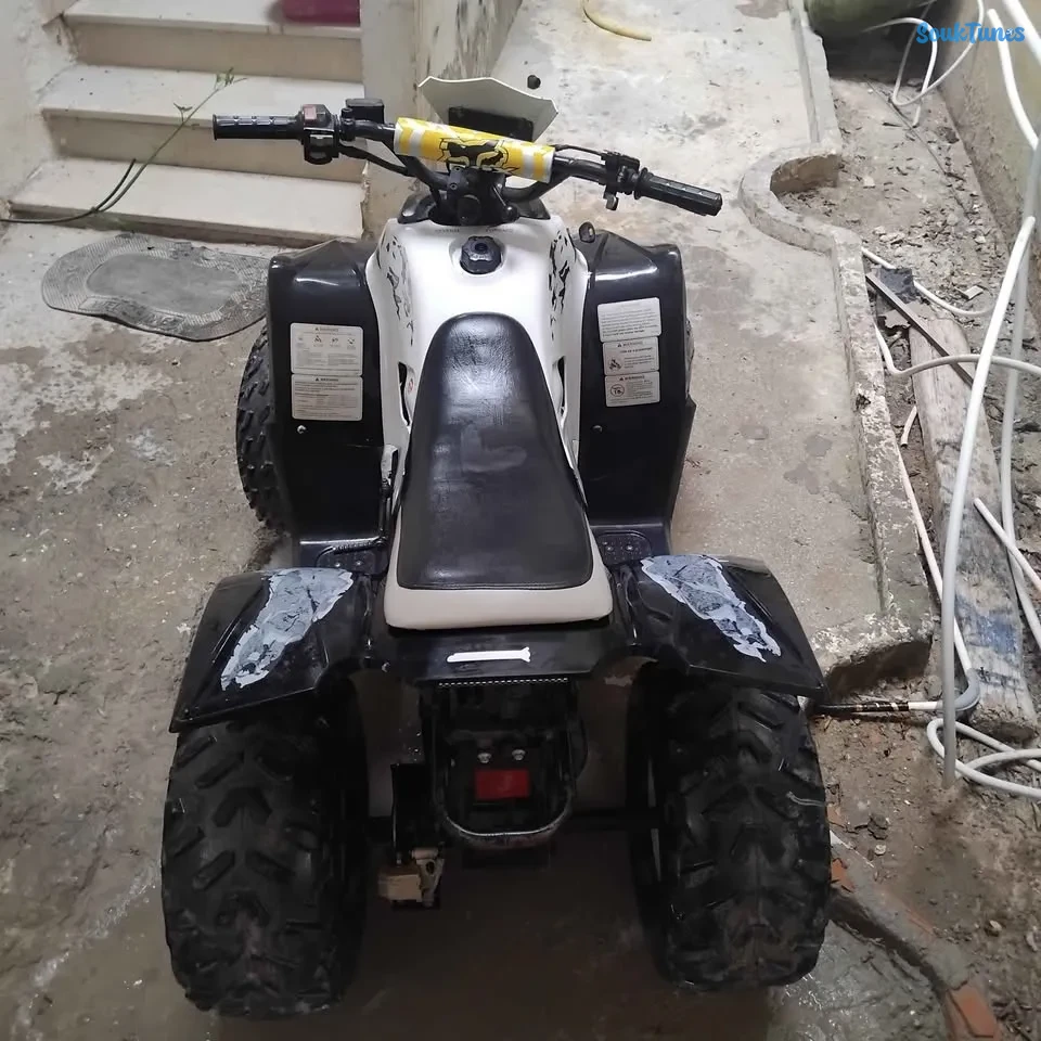 Image 3 de l'annonce QUAD 100cc