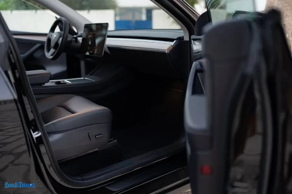 Image 13 de l'annonce Tesla Model Y Long Range Super puissante