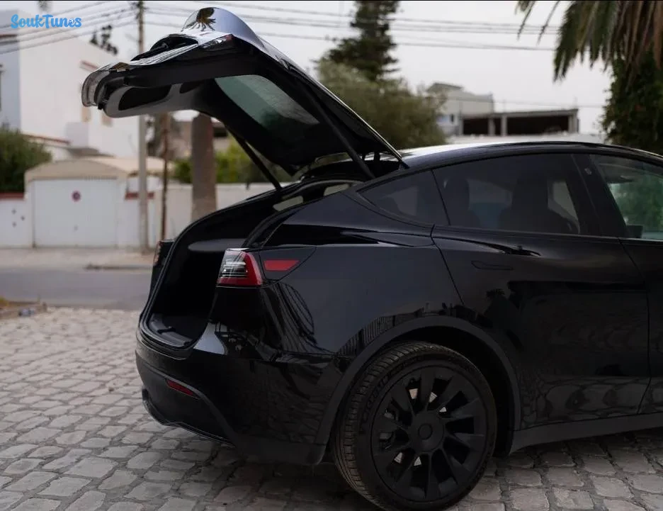 Image 6 de l'annonce Tesla Model Y Long Range Super puissante