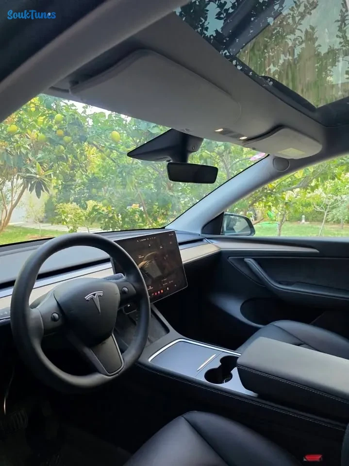 Image 5 de l'annonce Tesla Model Y Long Range Super puissante