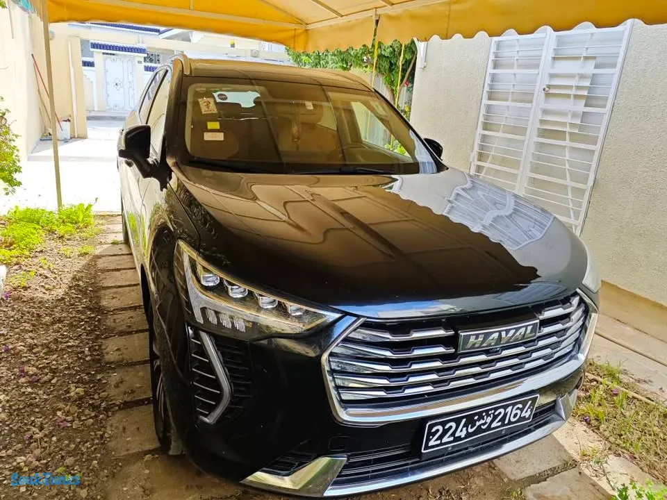 Image 4 de l'annonce Vendre haval jolian / 66 000 TND