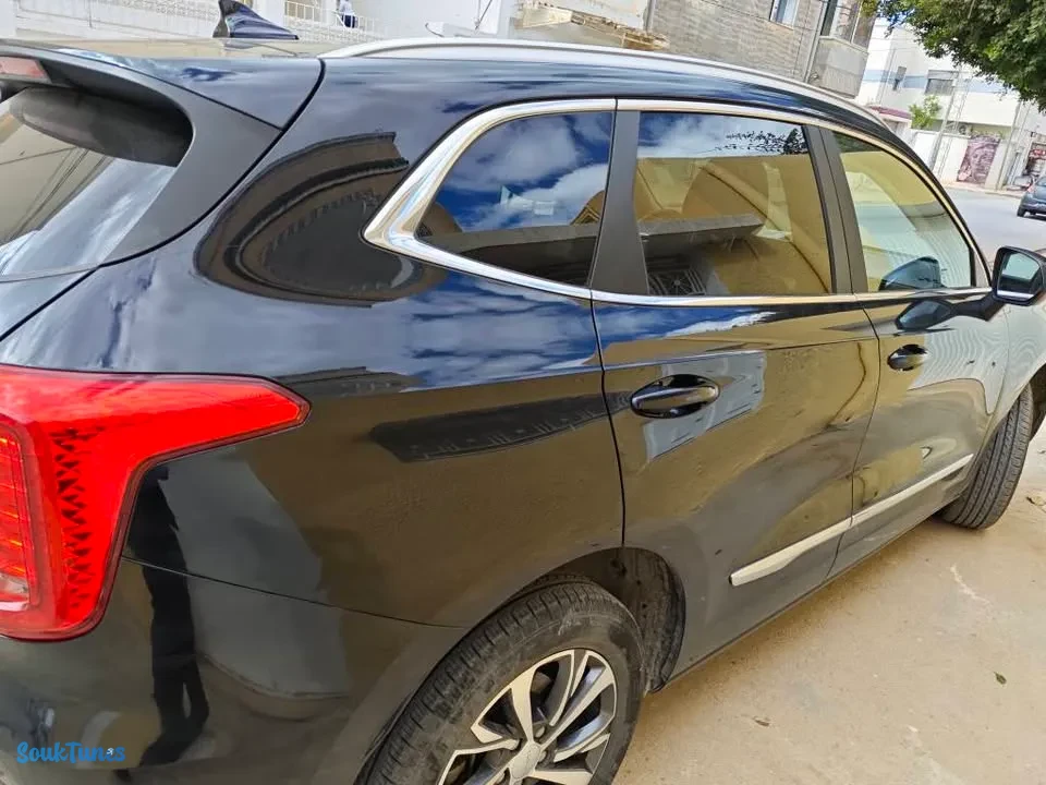Image 7 de l'annonce Vendre haval jolian / 66 000 TND