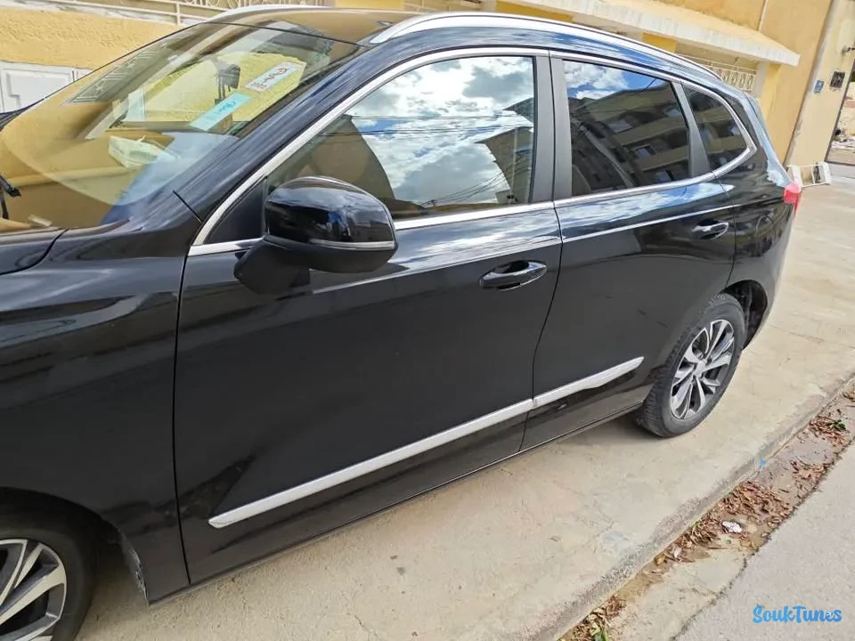 Image 6 de l'annonce Vendre haval jolian / 66 000 TND