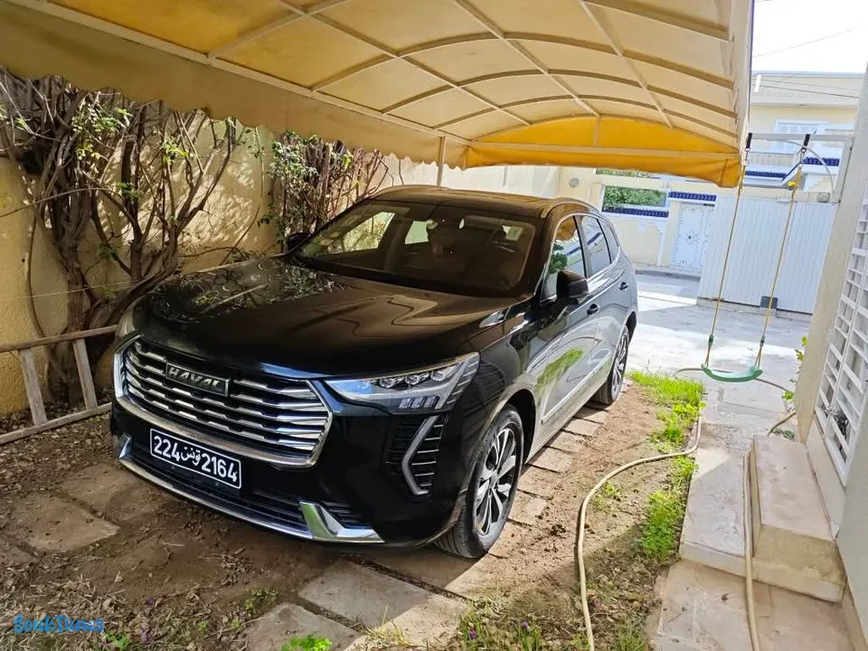 Image 5 de l'annonce Vendre haval jolian / 66 000 TND