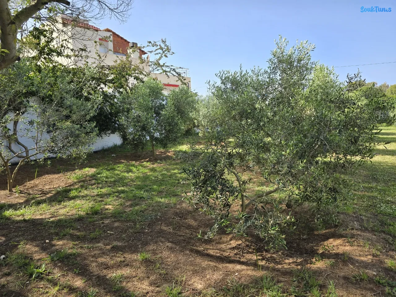 Image 13 de l'annonce Une villa sur la première position à Kerkouane