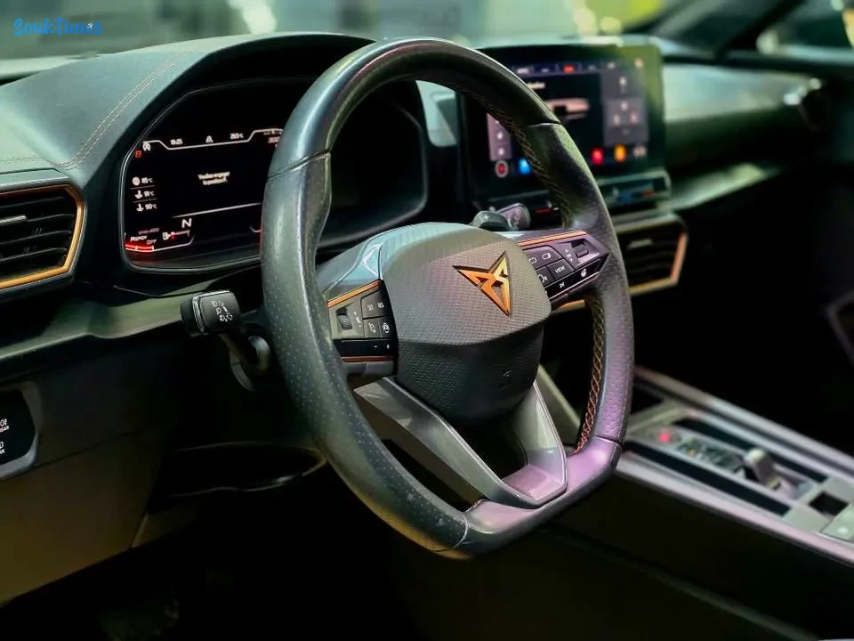 Image 13 de l'annonce CUPRA Formentor 2.0