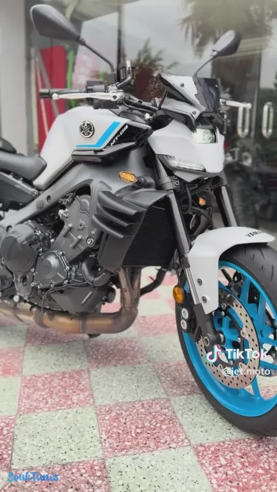 Image 13 de l'annonce YAMAHA MT09 