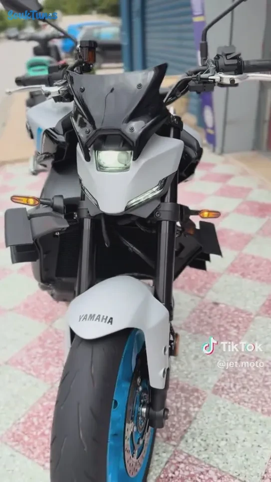 Image 8 de l'annonce YAMAHA MT09 