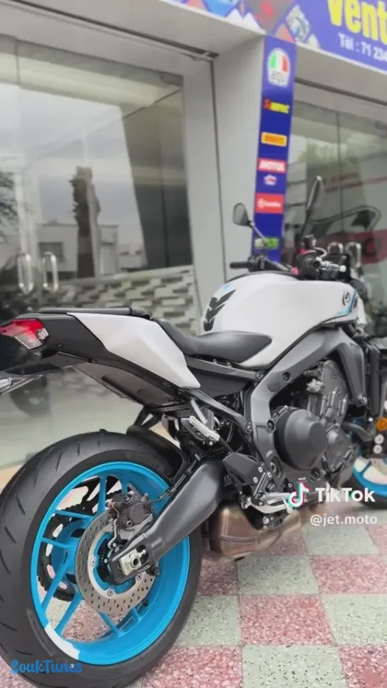 Image 10 de l'annonce YAMAHA MT09 