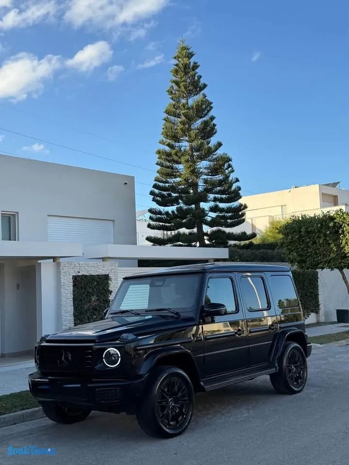 Image 4 de l'annonce Mercedes G580 Electric 🇩🇪