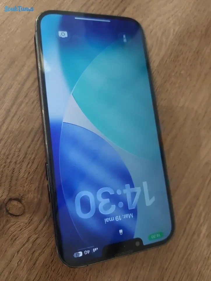 Image 4 de l'annonce Smartphone iphone 13 pro max  1650 DT