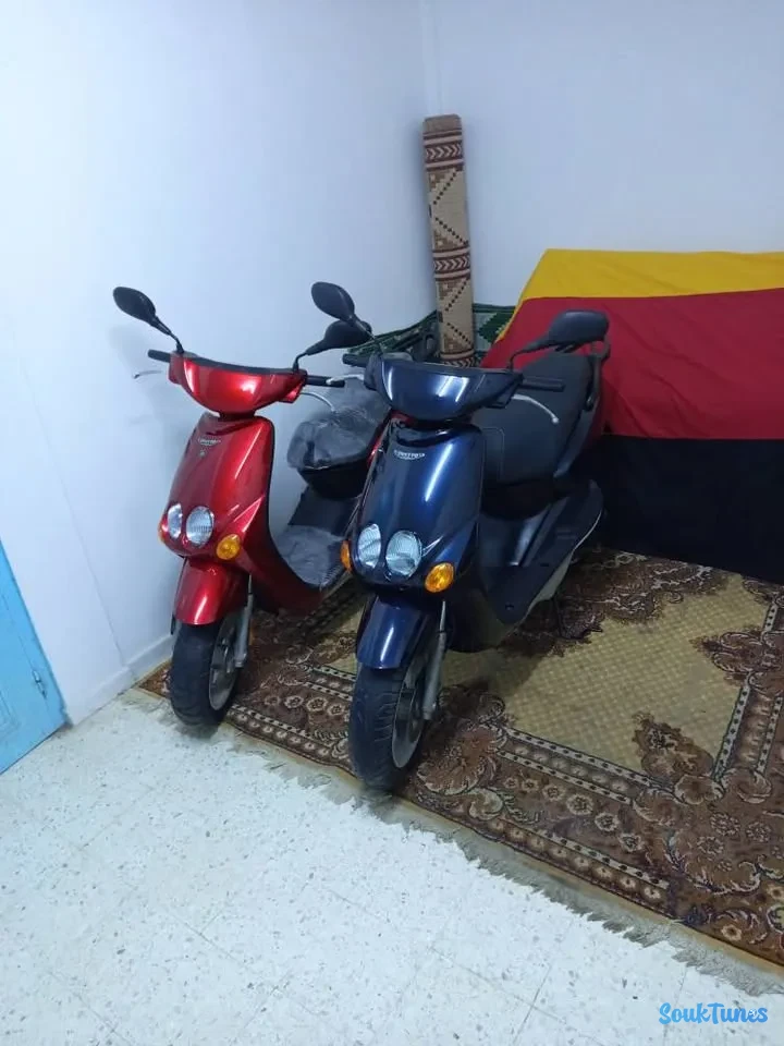Image 6 de l'annonce ovetto 50cc