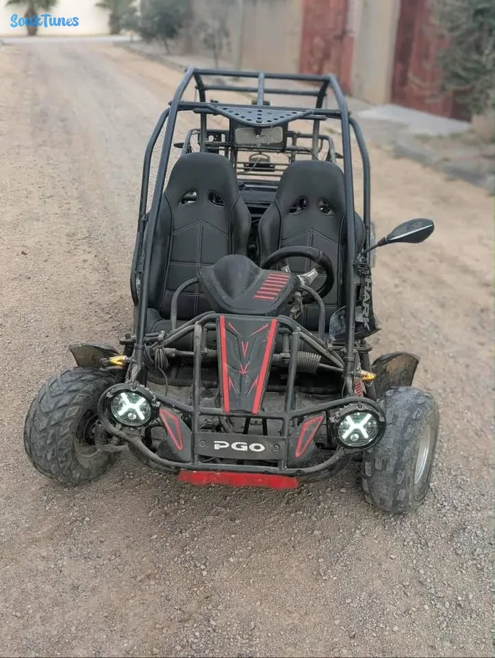 Image 5 de l'annonce Buggy bugrider 250cc / 4 000 TND
