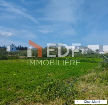 Image principale de l'annonce A Vendre Terrain de 863m² à Chatt Mami