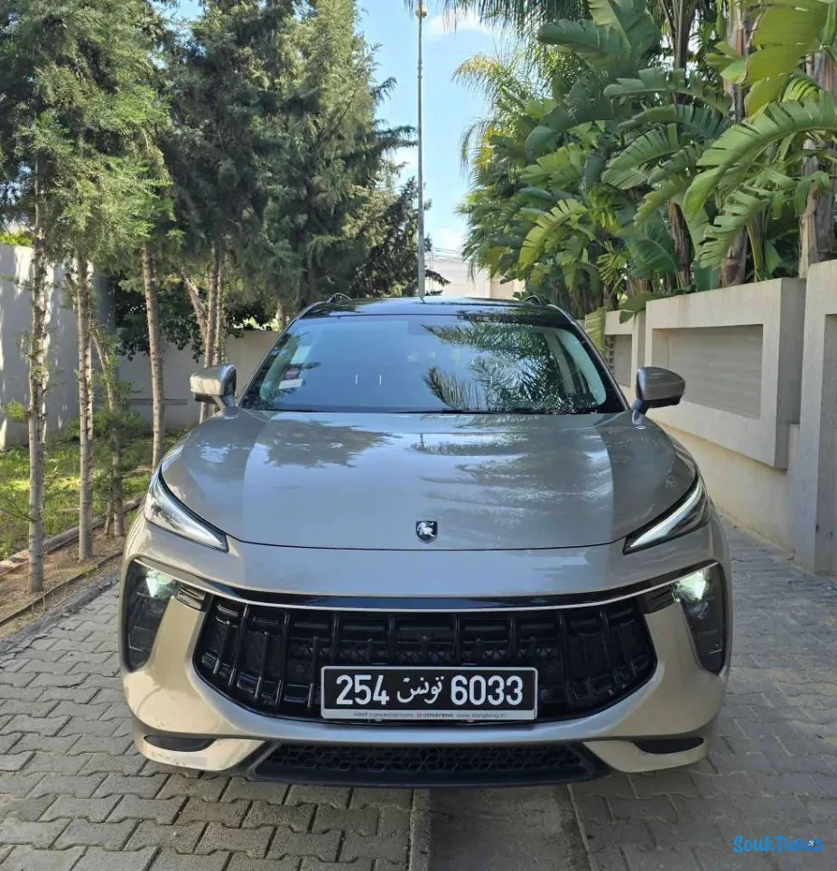 Image 1 de l'annonce 🚘Forthing 2025 ⛔️