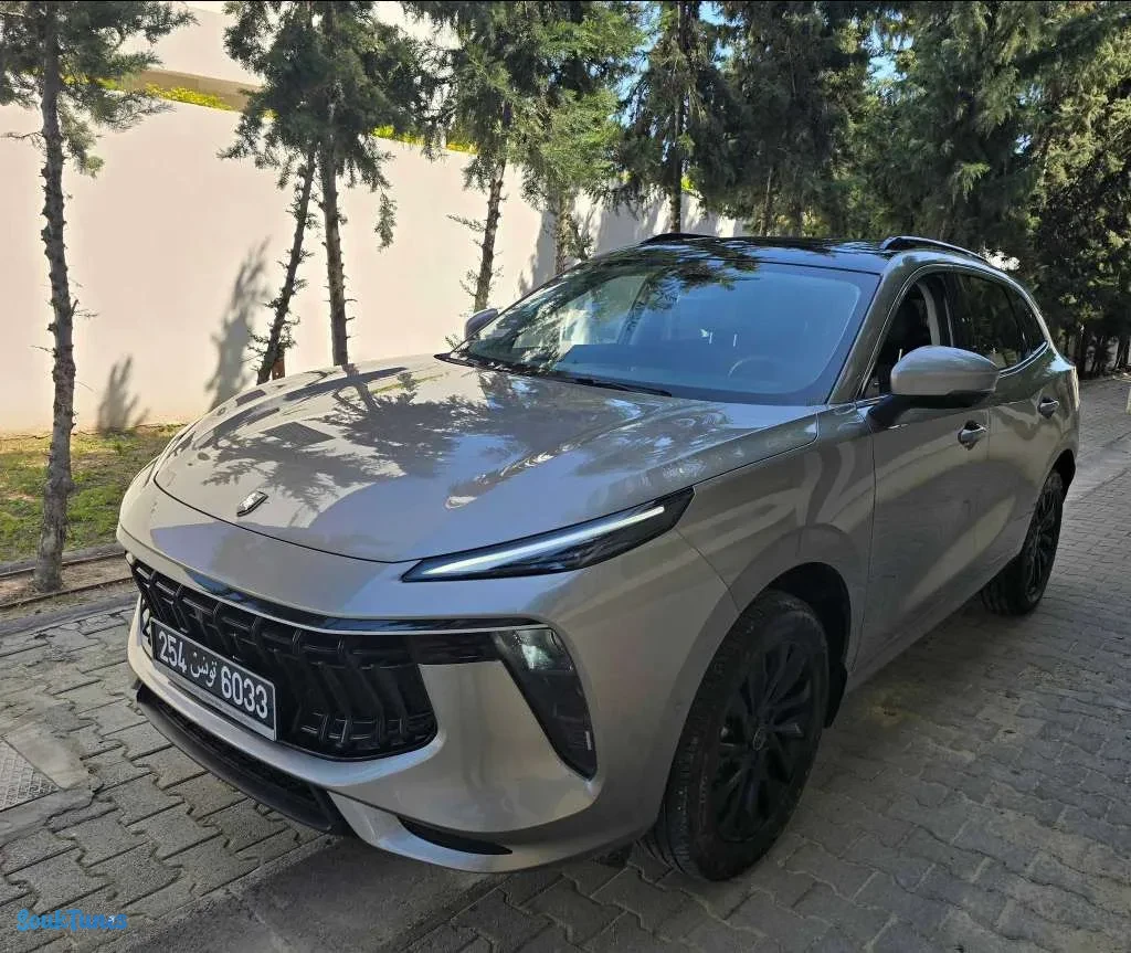 Image 3 de l'annonce 🚘Forthing 2025 ⛔️