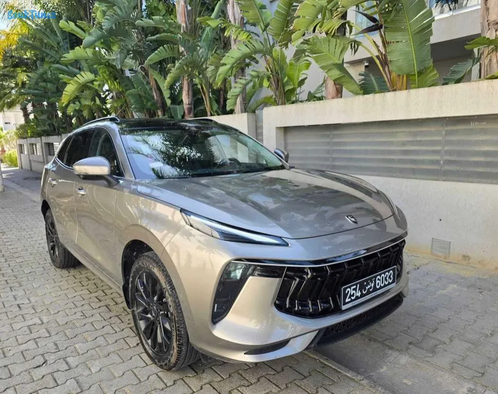 Image 2 de l'annonce 🚘Forthing 2025 ⛔️