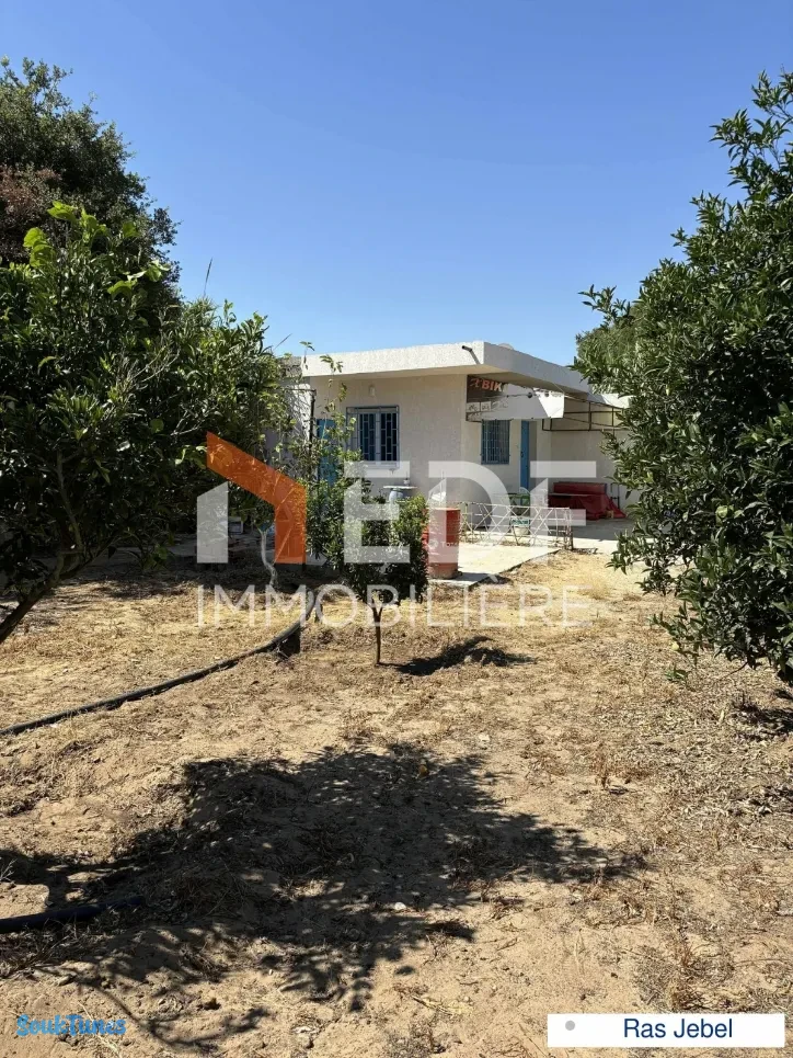 Image 9 de l'annonce A Vendre Senia +Studio à Ras Jebel, Bizerte