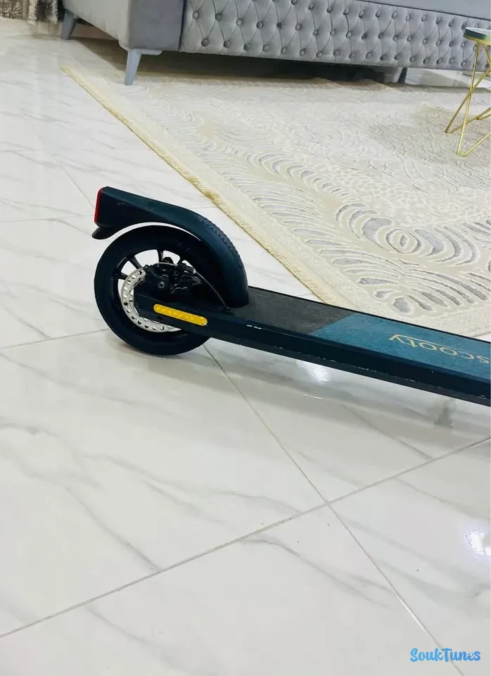 Image 4 de l'annonce Trontinette  scooty evo 2 