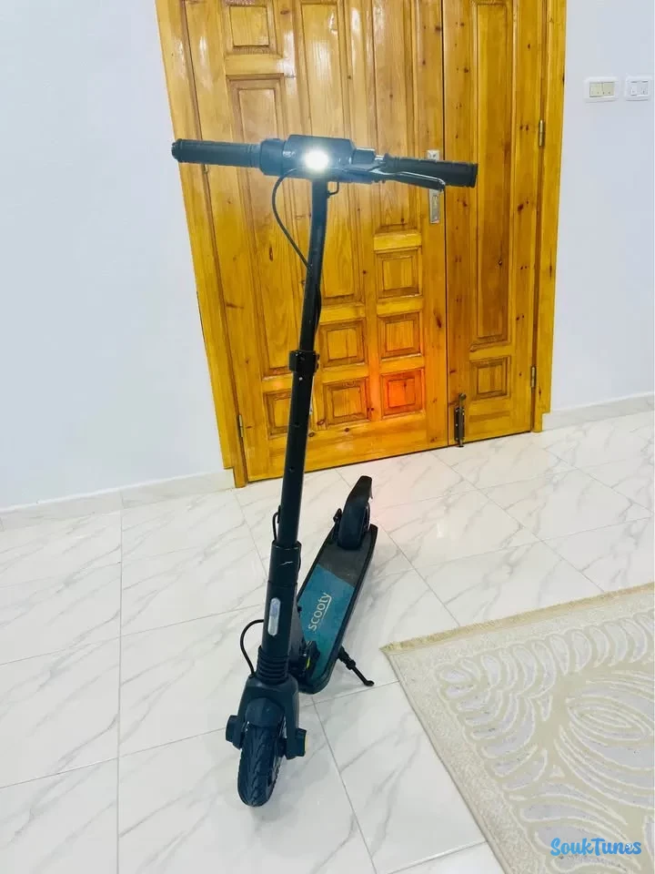 Image 5 de l'annonce Trontinette  scooty evo 2 