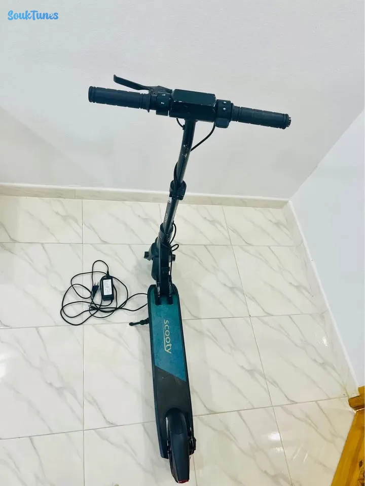 Image 6 de l'annonce Trontinette  scooty evo 2 