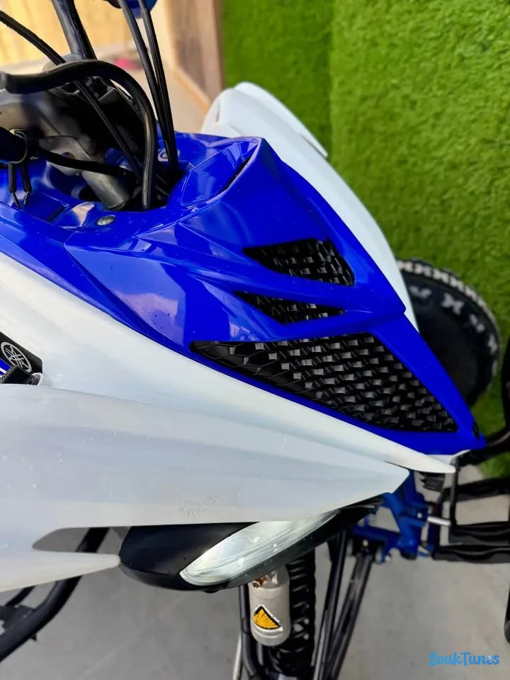 Image 7 de l'annonce yamaha raptor 700R