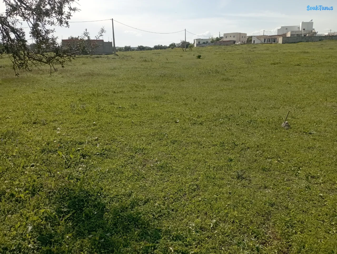 Image 5 de l'annonce A vendre terrain 150 MT