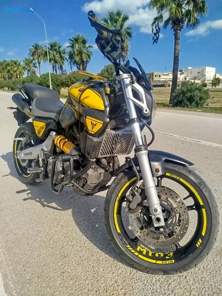 Image 6 de l'annonce Yamaha mt-03 bloc xtx660