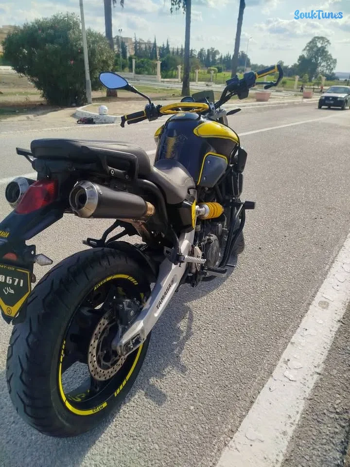 Image 5 de l'annonce Yamaha mt-03 bloc xtx660