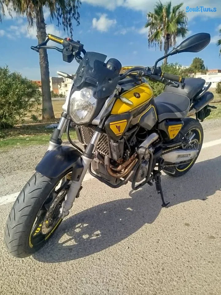 Image 7 de l'annonce Yamaha mt-03 bloc xtx660