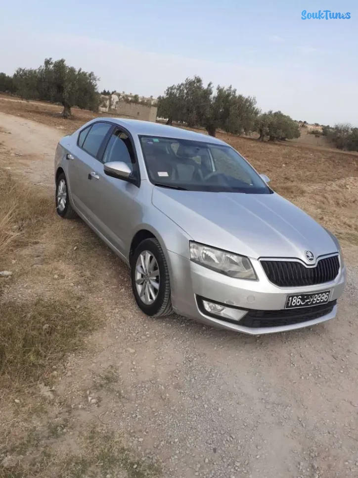 Image 4 de l'annonce Skoda octavia à vendre