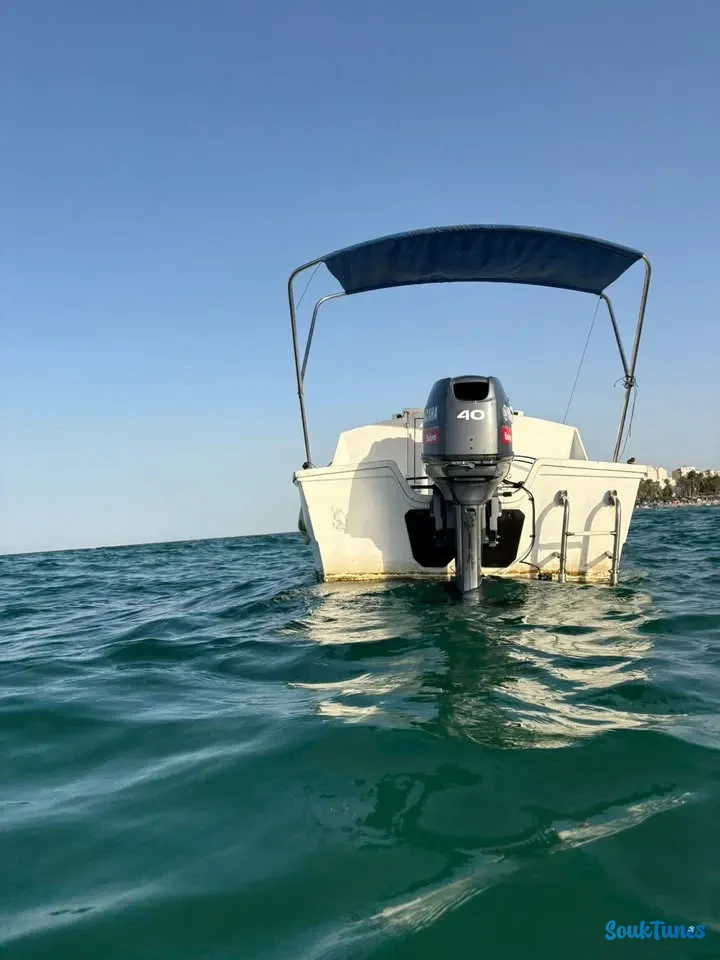 Image 4 de l'annonce Bateau jeanneau 520 / 25 110 DT